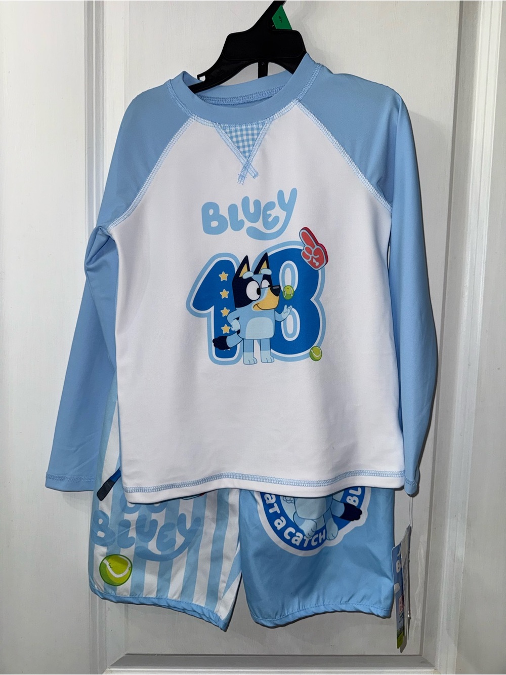 Bluey Rash Guard and Swim Trunk Set